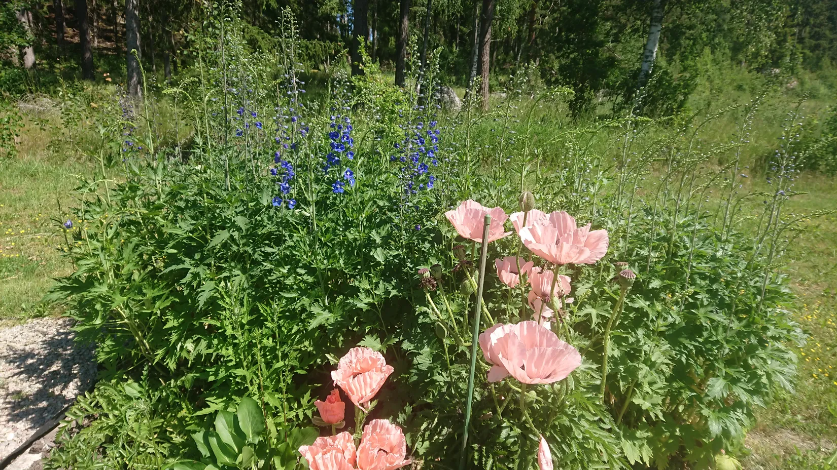 Villa, Fasttorp Ekehult, Lista, Eskilstuna