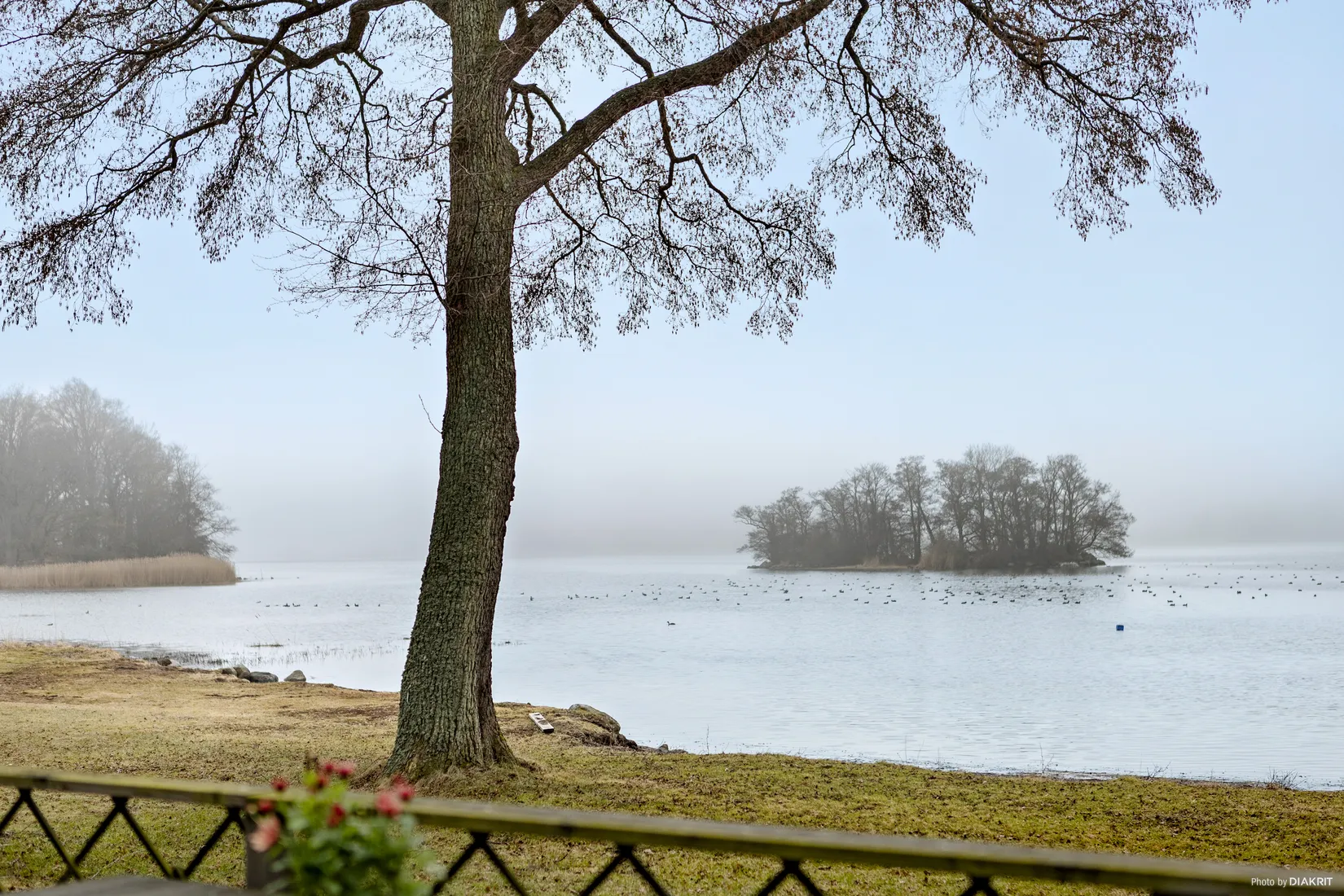 Fritidshus, Valjeallén 20, Sölvesborg