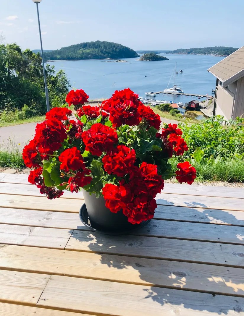 Bostadsrätt, Bjällansås 338D, Uddevalla