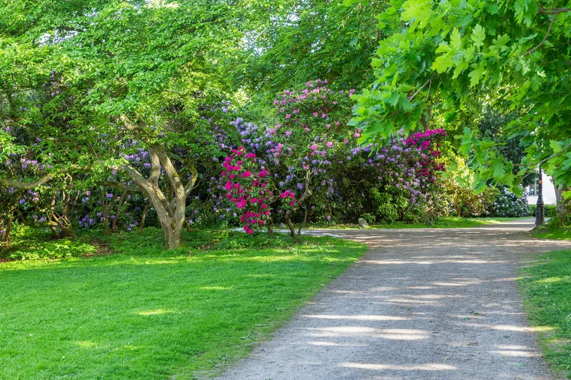 Bostadsrätt, Föreningsgatan 5, Tågaborg, Helsingborg