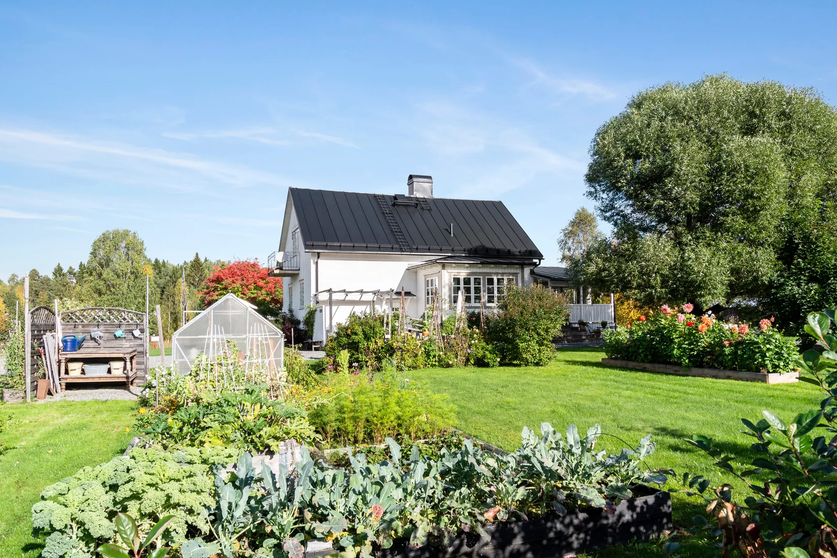 Gård/Skog, Vindelälvsvägen 59, Rusksele, Lycksele