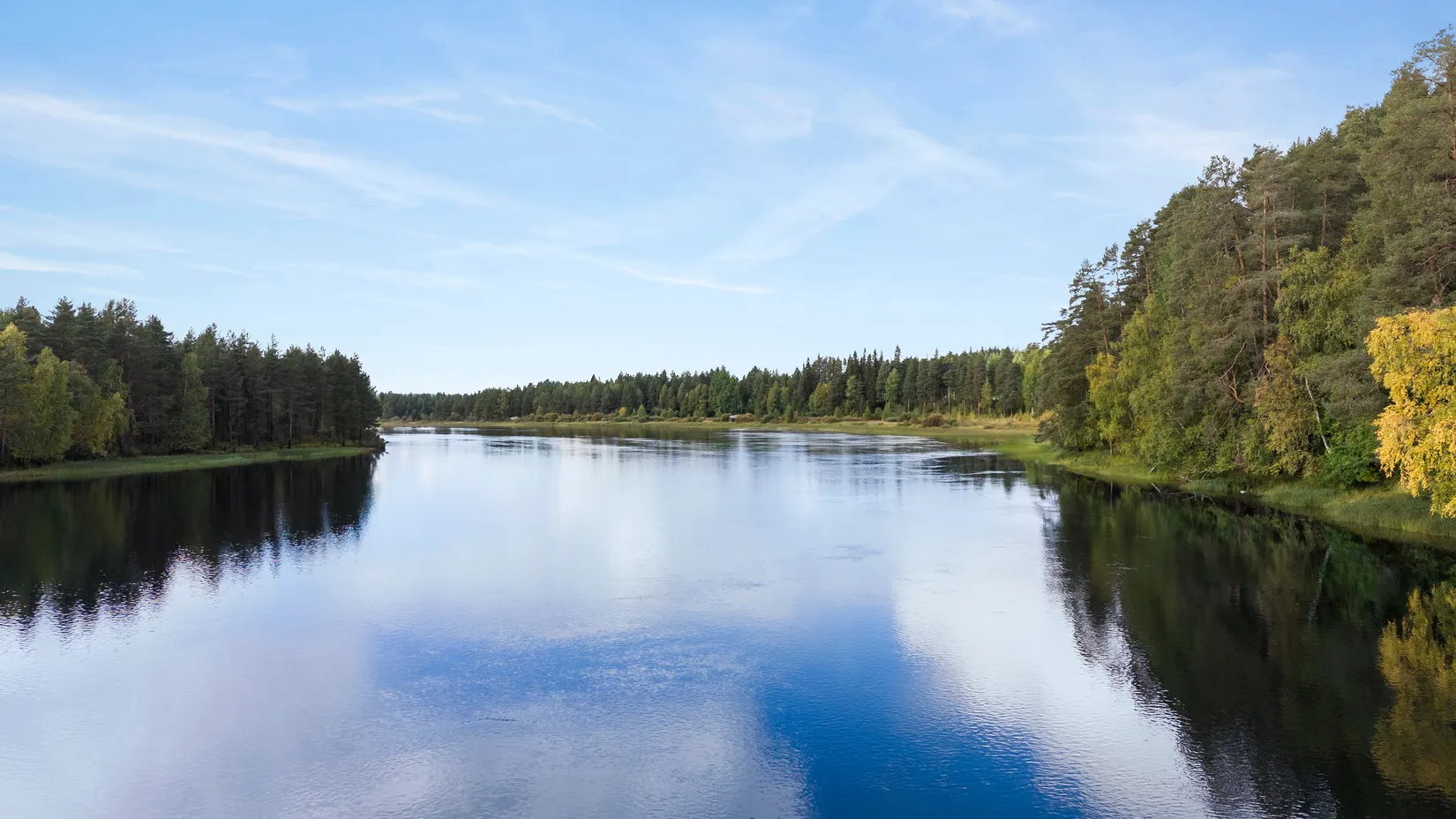 Gård/Skog, Vindelälvsvägen 59, Rusksele, Lycksele