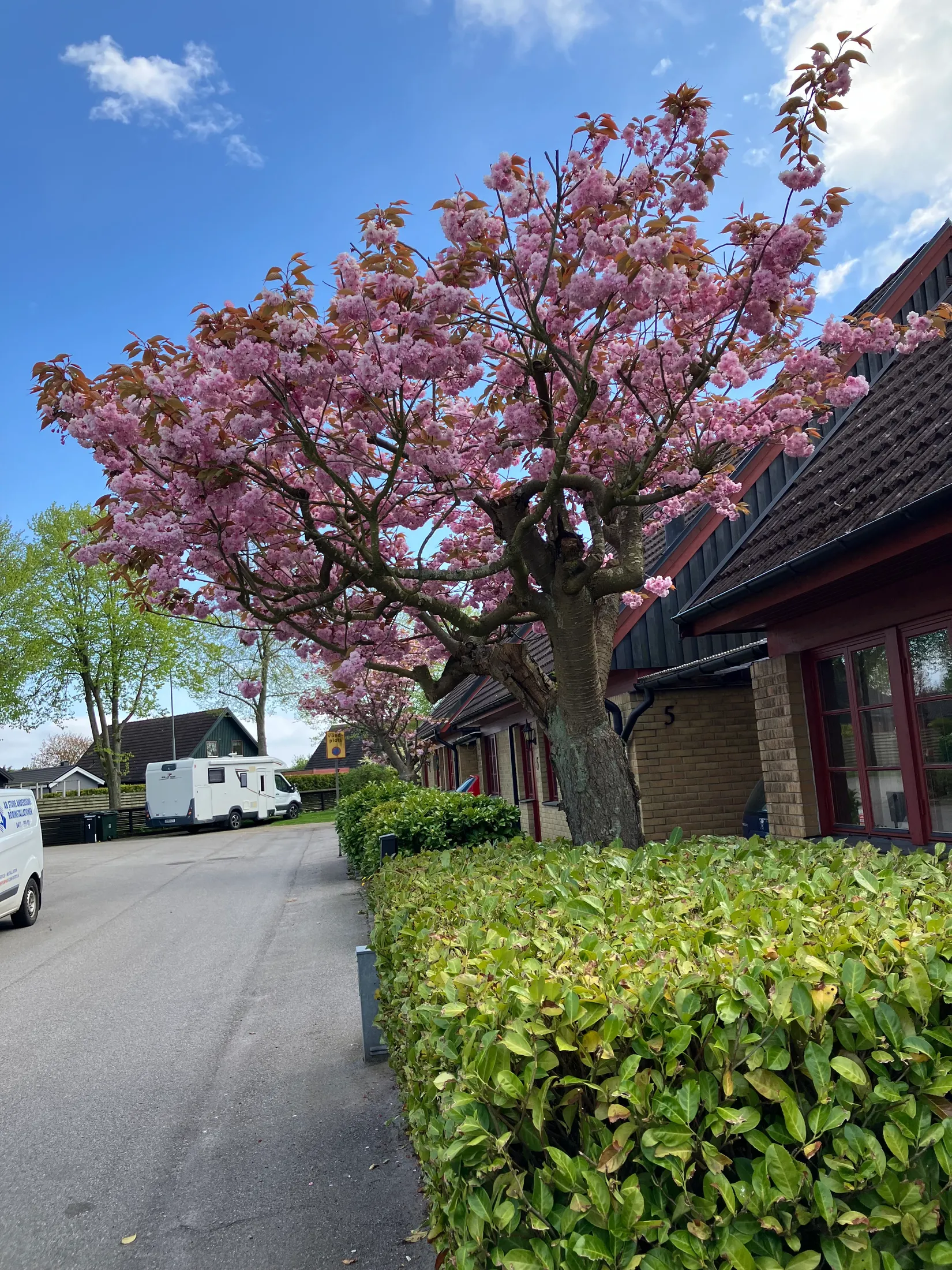 Villa, Radhus, Knopgatan 7, Edvinshem, Ystad