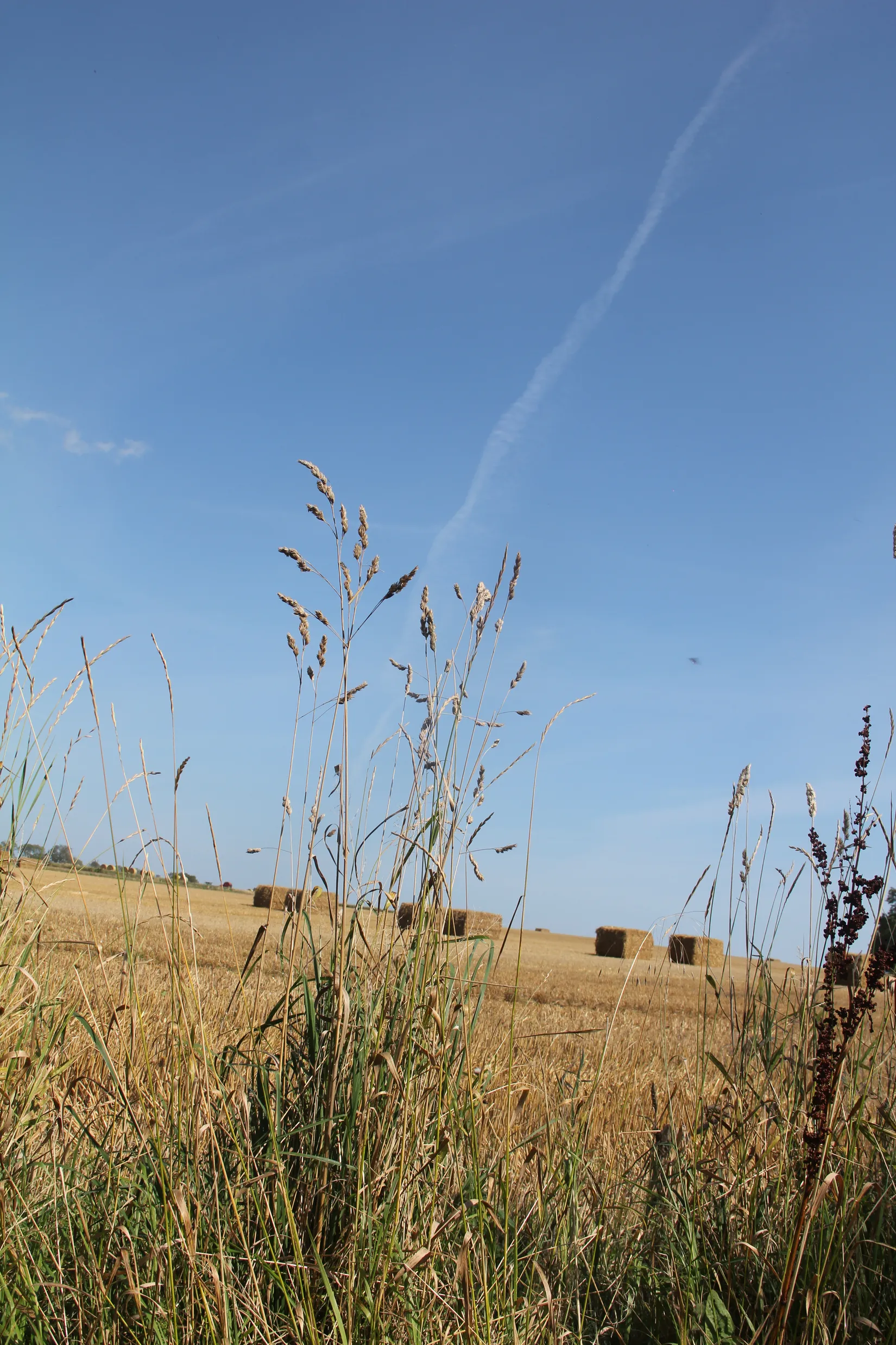 Villa, Nobelvägen 75, Gislöv, Simrishamn