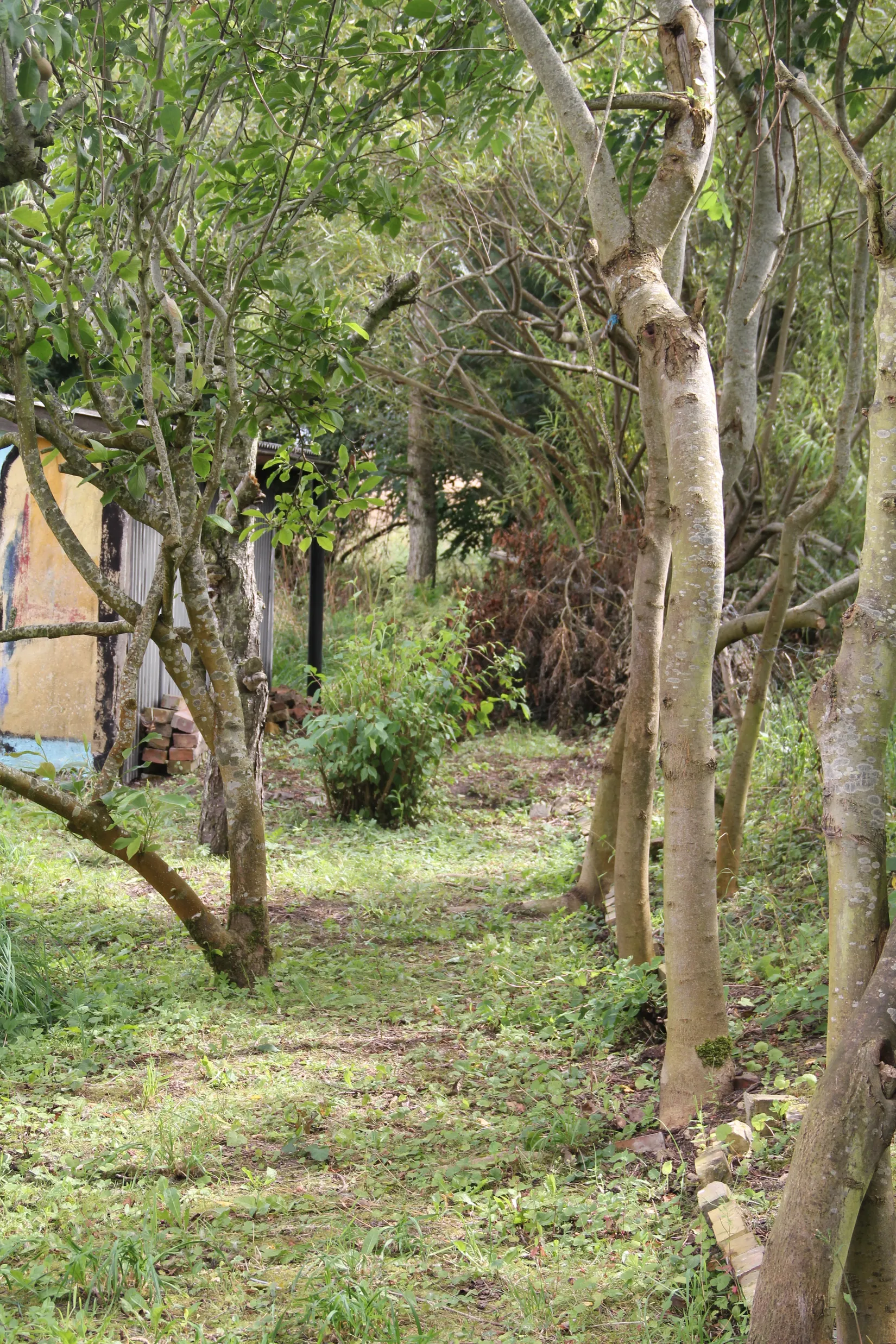 Villa, Nobelvägen 75, Gislöv, Simrishamn