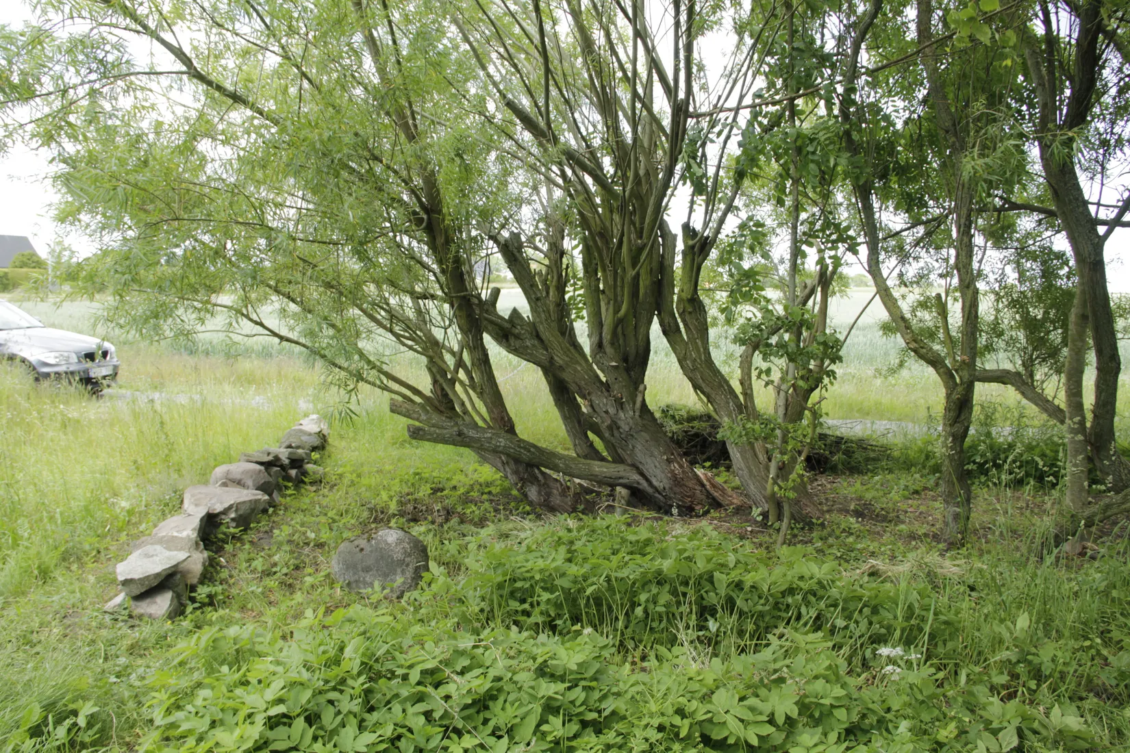 Villa, Nobelvägen 75, Gislöv, Simrishamn