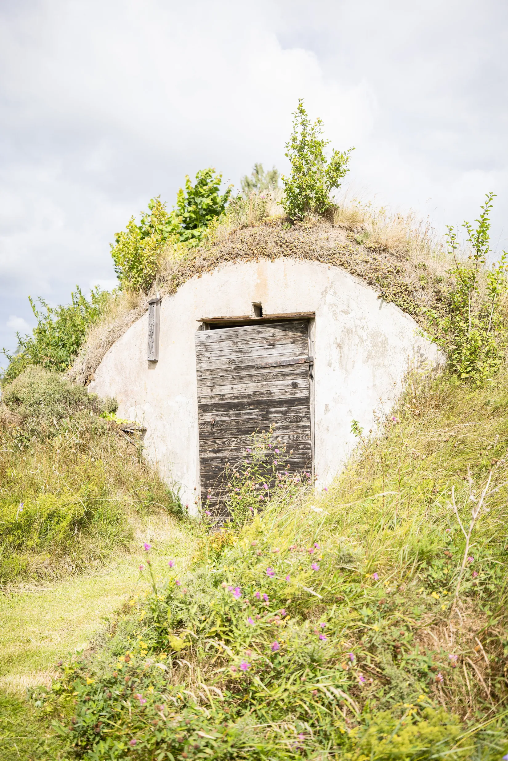 Gård/Skog, Hättorp 242, Motala