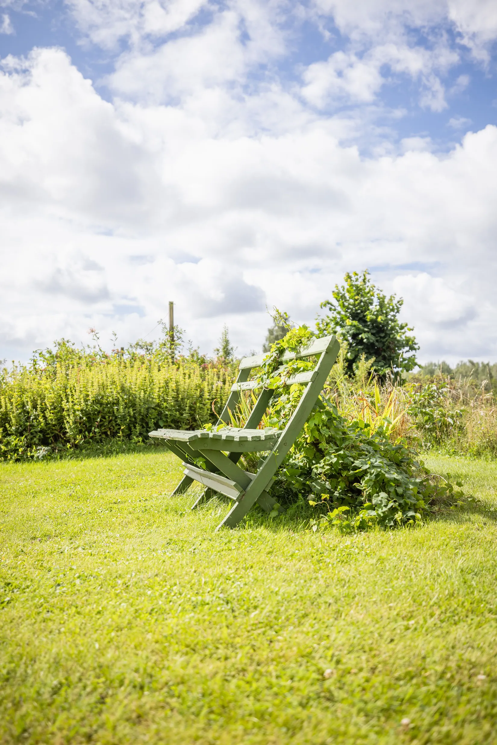 Gård/Skog, Hättorp 242, Motala