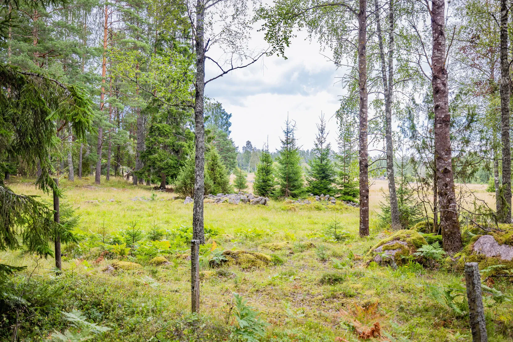 Gård/Skog, Hättorp 242, Motala