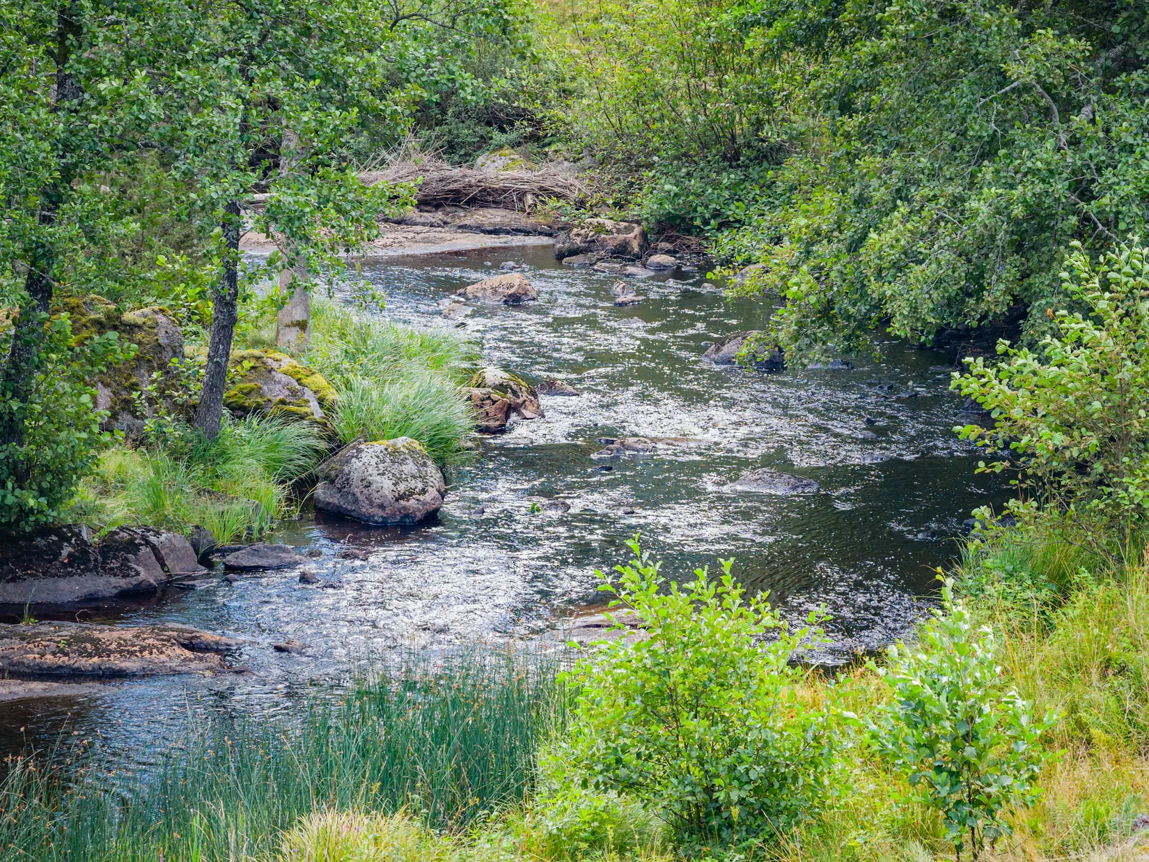 Gård/Skog, Hättorp 242, Motala