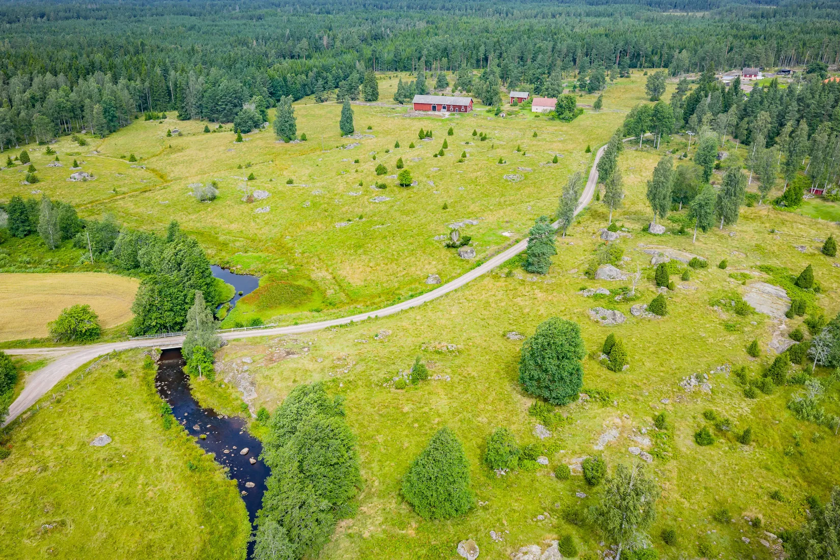 Gård/Skog, Hättorp 242, Motala