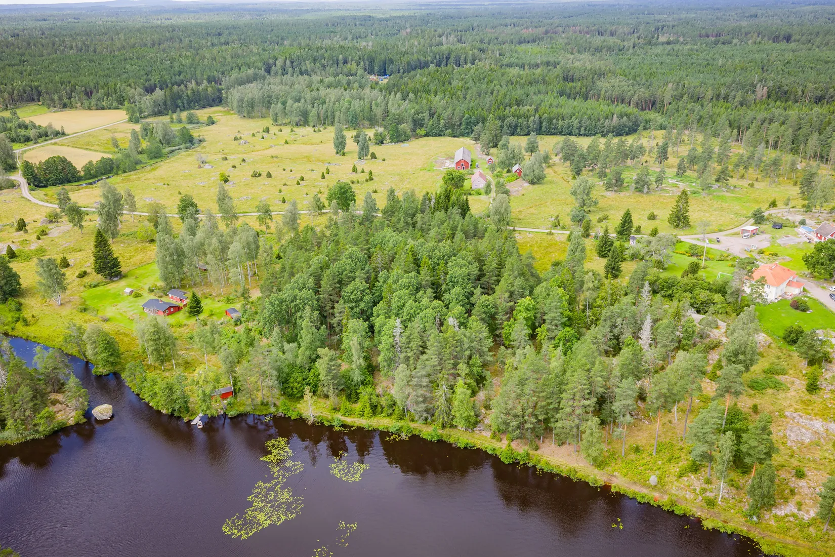 Gård/Skog, Hättorp 242, Motala