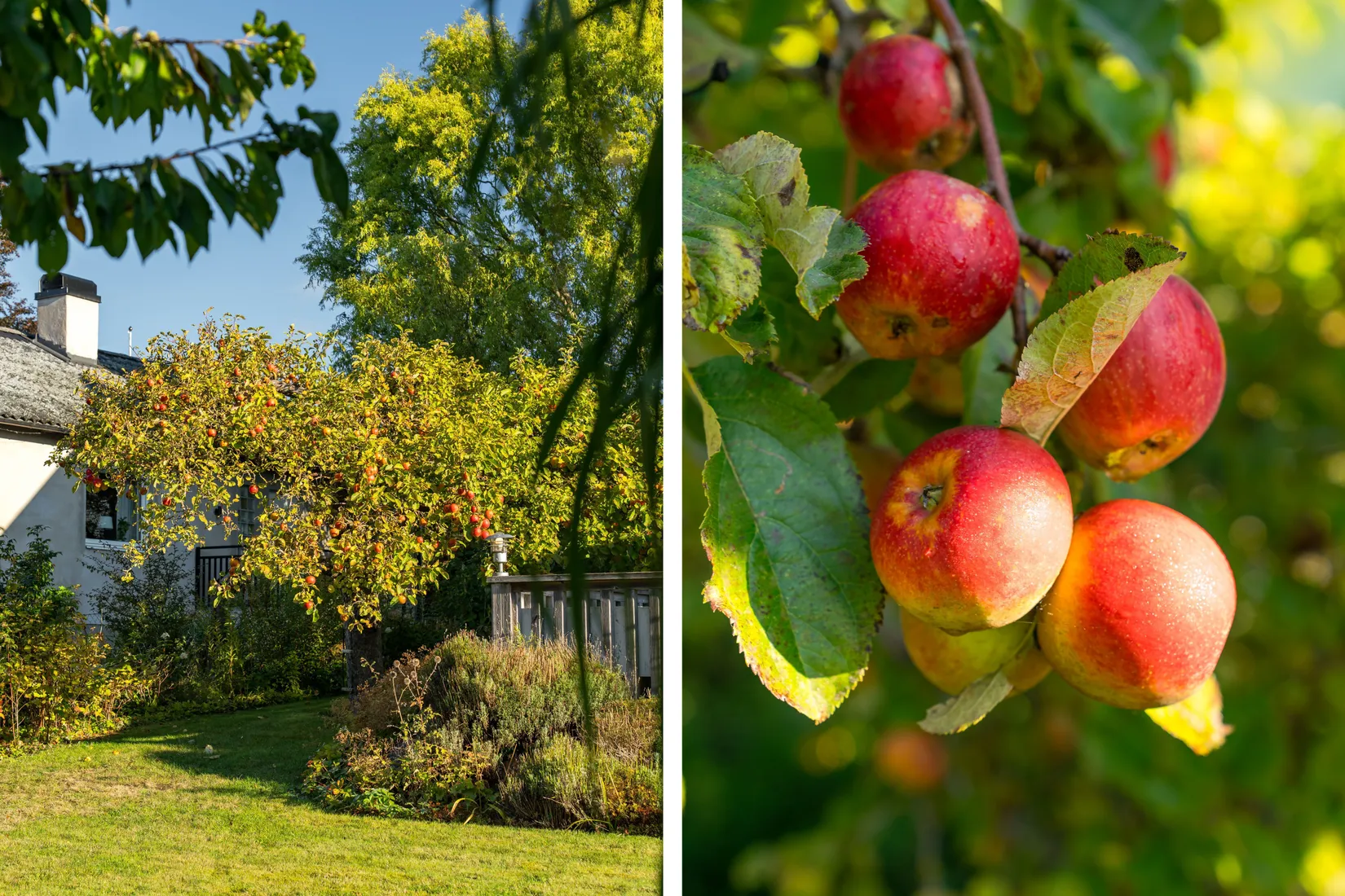 Villa, Ågatan 6, Marieholm, Eslöv