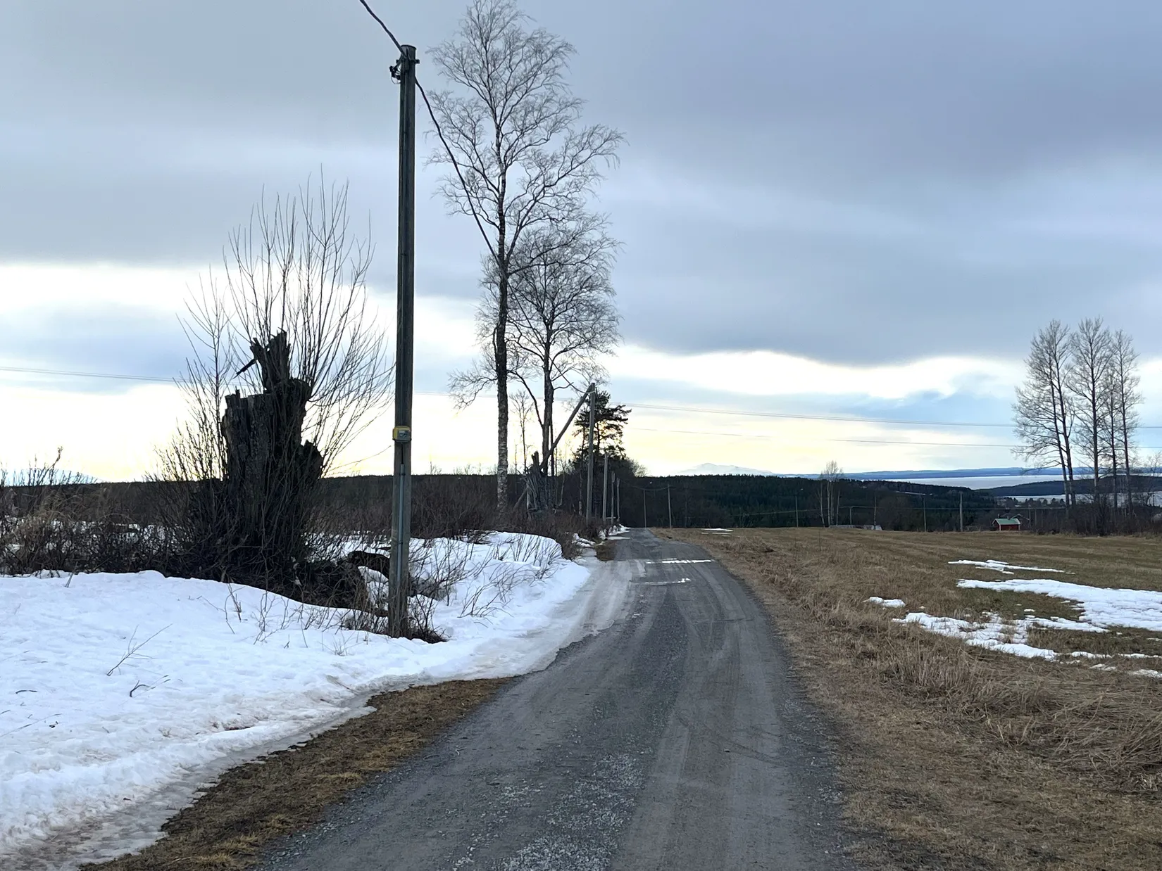 Gård/Skog, Rasten 110, Annersia, Östersund