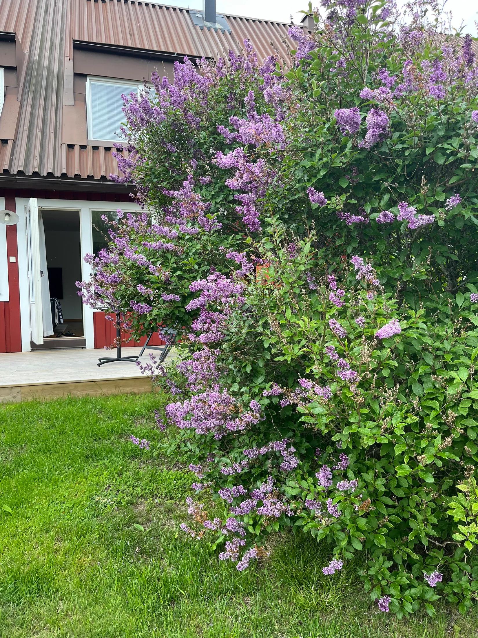 Radhus, Furuvägen 30, Hälletorp, Härnösand