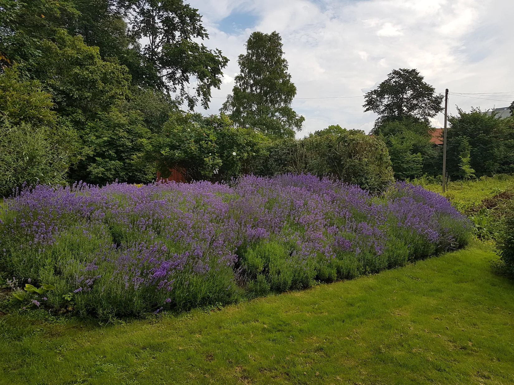 Villa, Skolgatan 3, Söderfors, Tierp