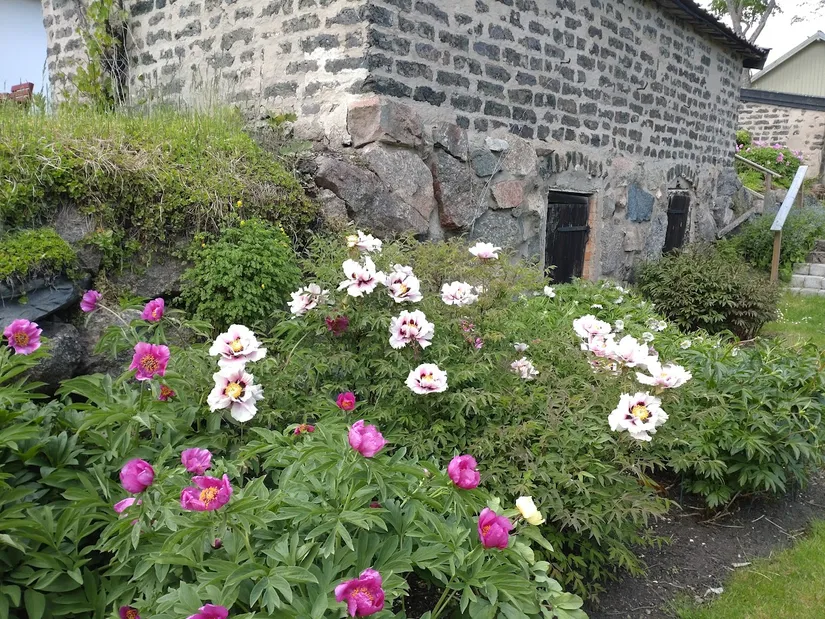 Villa, Skolgatan 3, Söderfors, Tierp