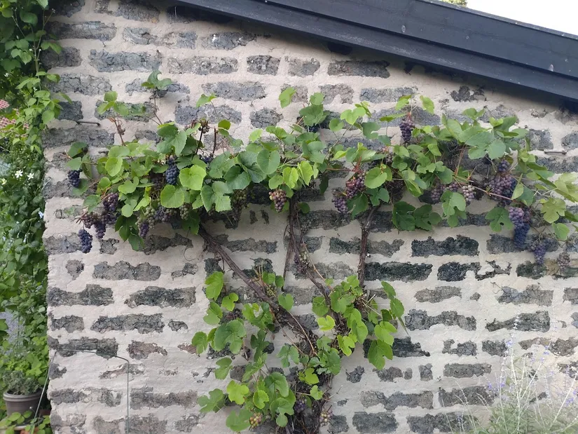 Villa, Skolgatan 3, Söderfors, Tierp