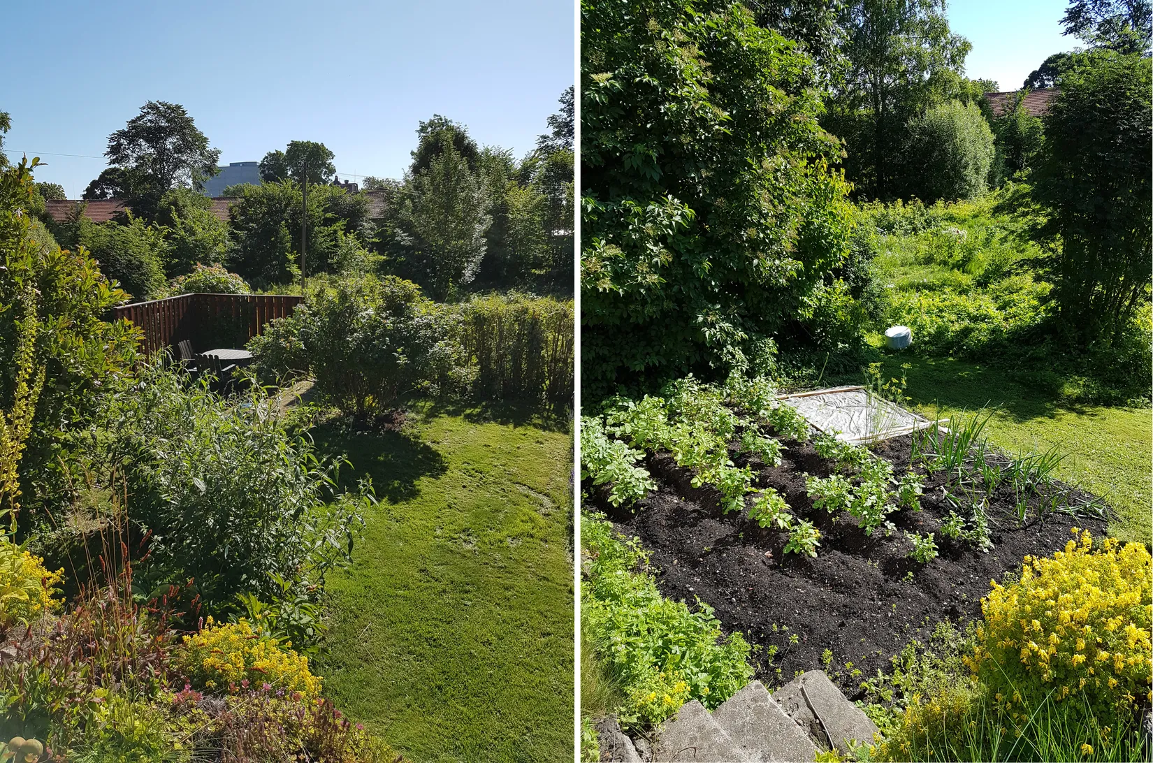 Villa, Skolgatan 3, Söderfors, Tierp