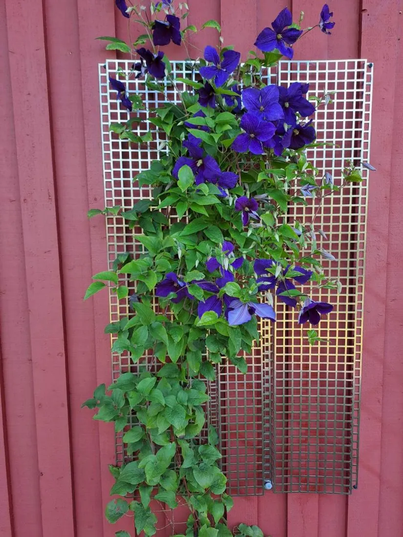 Villa, Gärdesvägen 3B, Kallinge, Ronneby