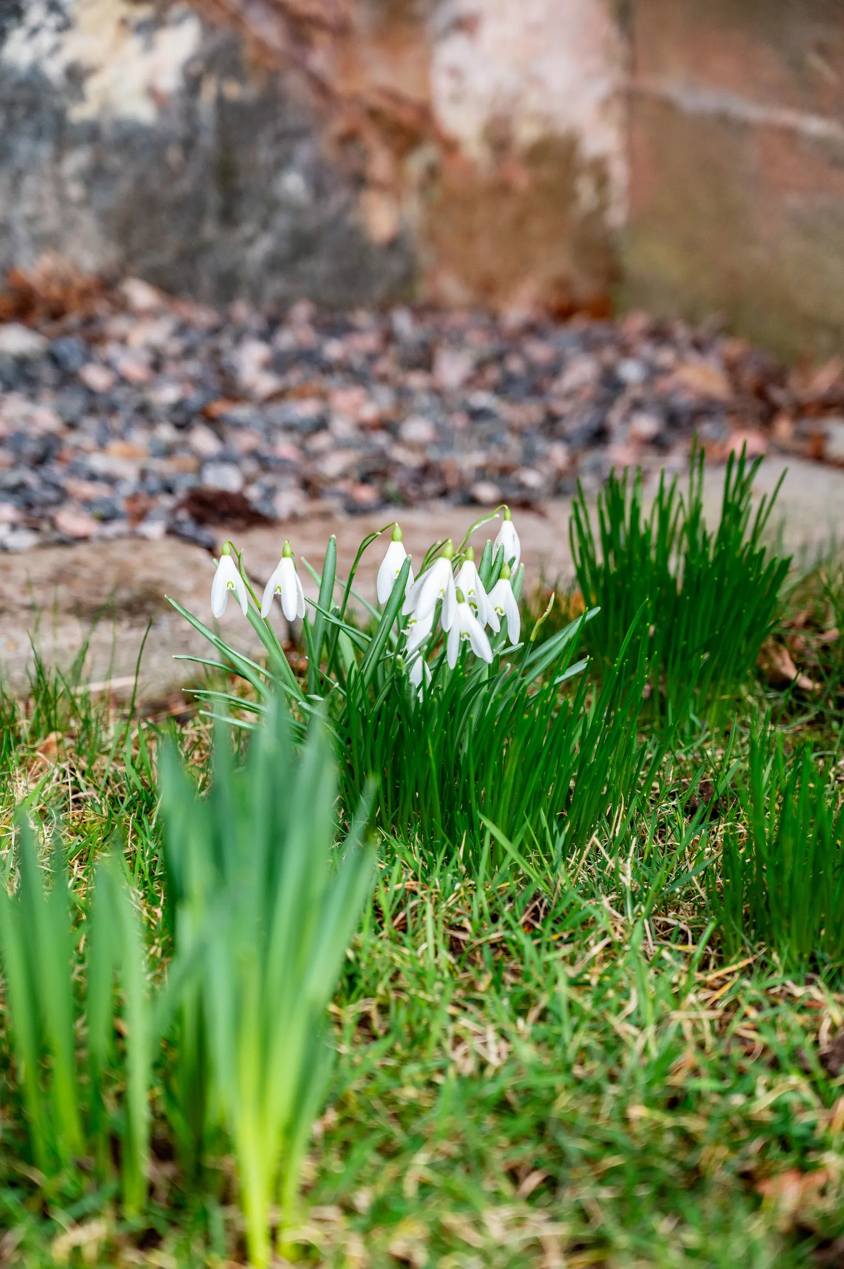 Villa, Flakeberg Höjen 1, Flakeberg, Grästorp