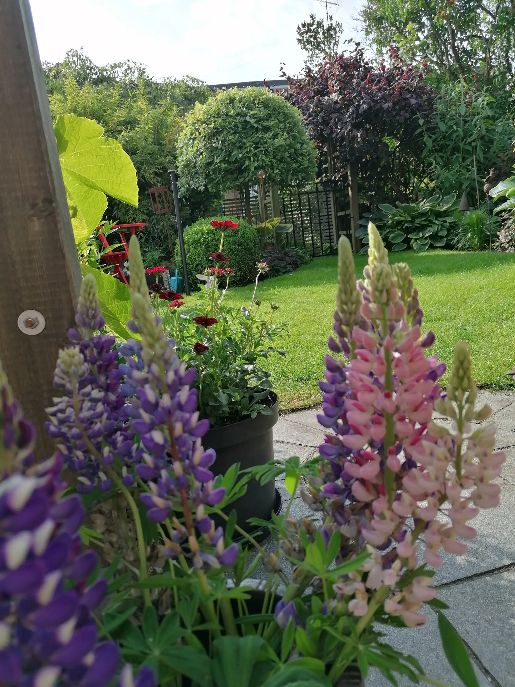 Villa, Radhus, Idrottsvägen 22, Örjans Vall, Halmstad