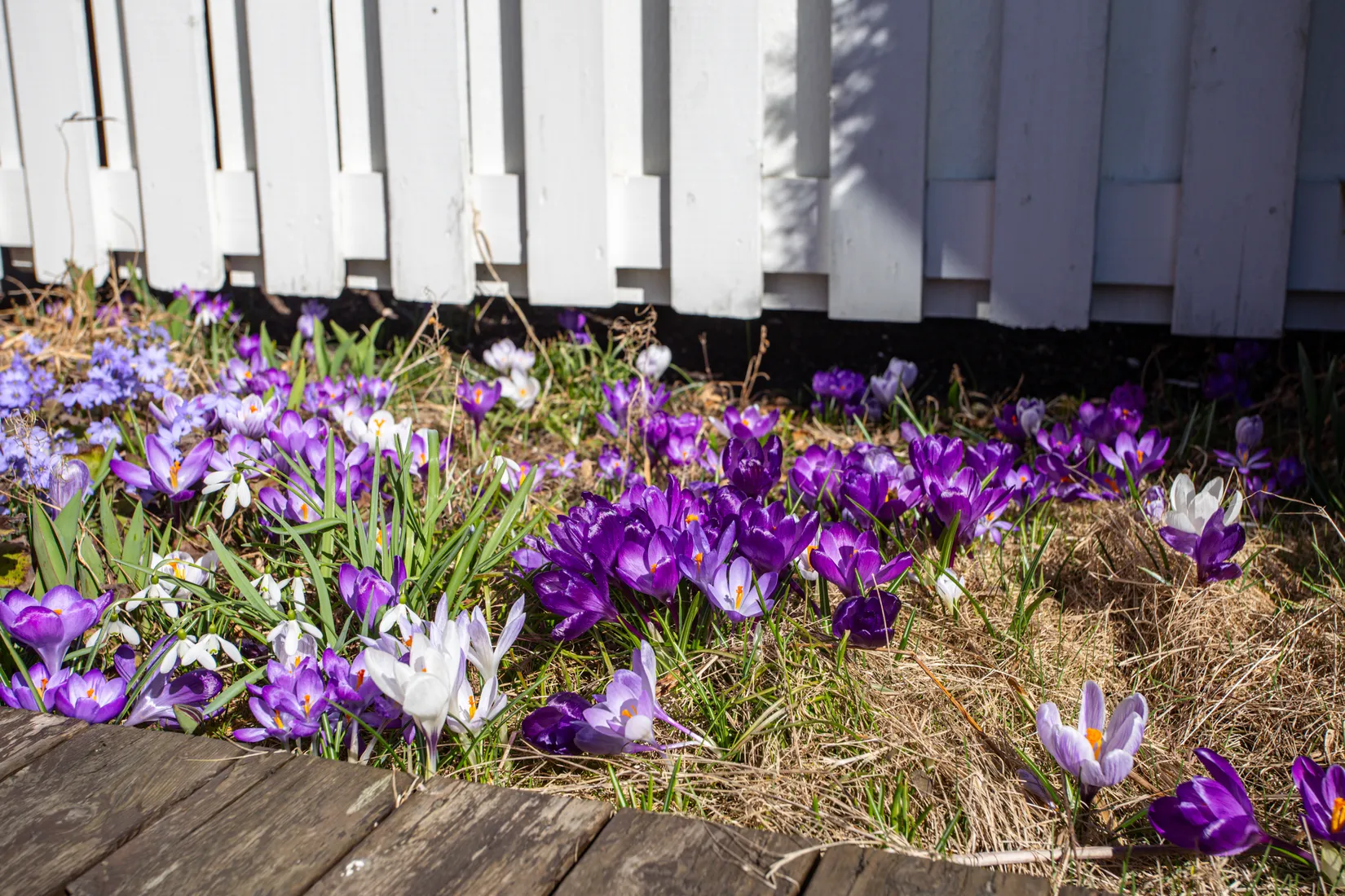 Villa, Radhus, Kaggetorpsvägen 174, Kaggetorp, Trollhättan