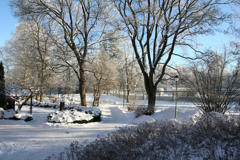 Bostadsrätt, Trädgårdsgatan 3, Centralt, Linköping