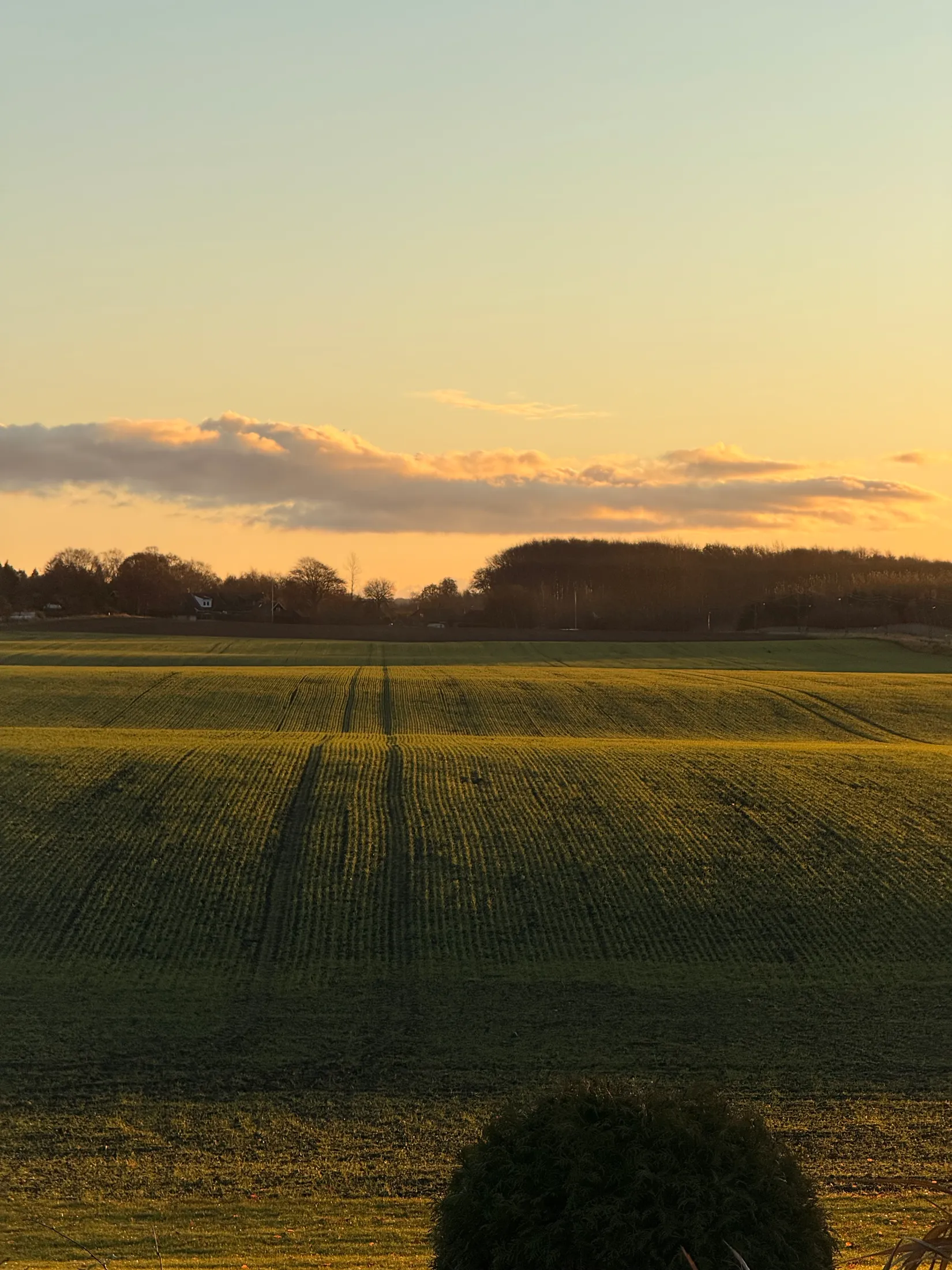Bostadsrätt, Oshögavägen 242, Oxie, Malmö