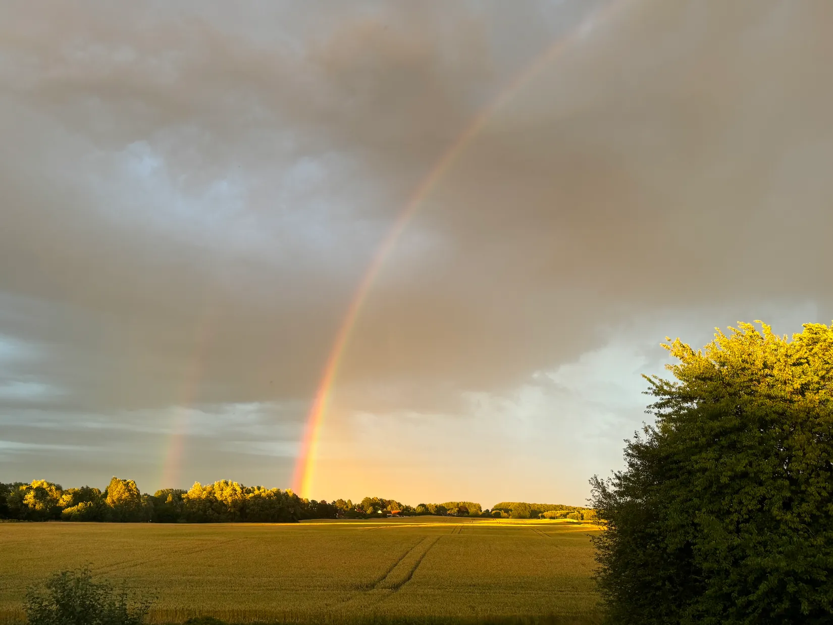 Bostadsrätt, Oshögavägen 242, Oxie, Malmö