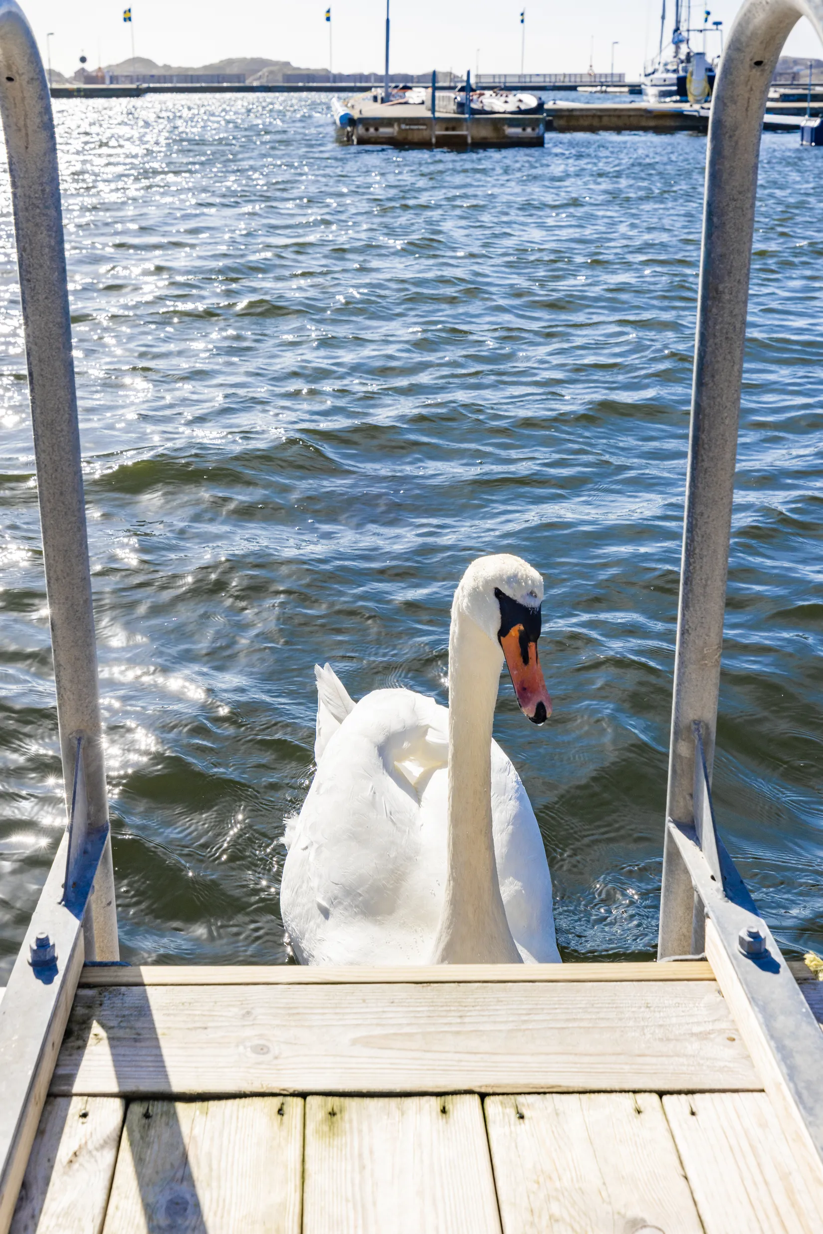 Bostadsrätt, Prosteviken 22, lgh 1203, Skärhamn Kajen, Tjörn