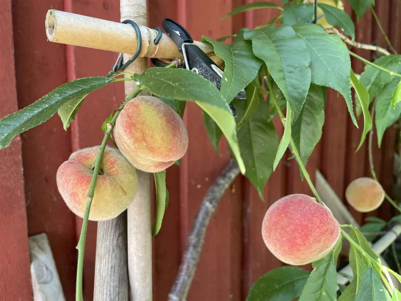 Villa, Bakfickan 4, Finsta, Norrtälje