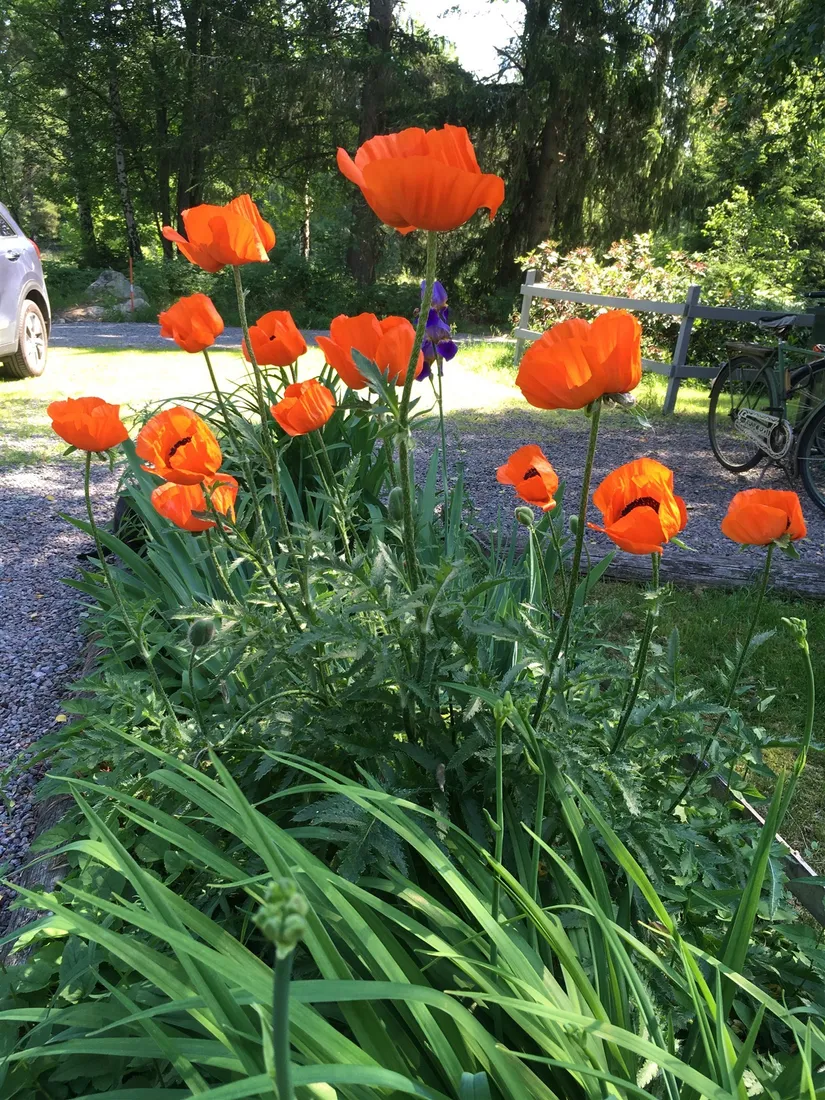 Villa, Bakfickan 4, Finsta, Norrtälje