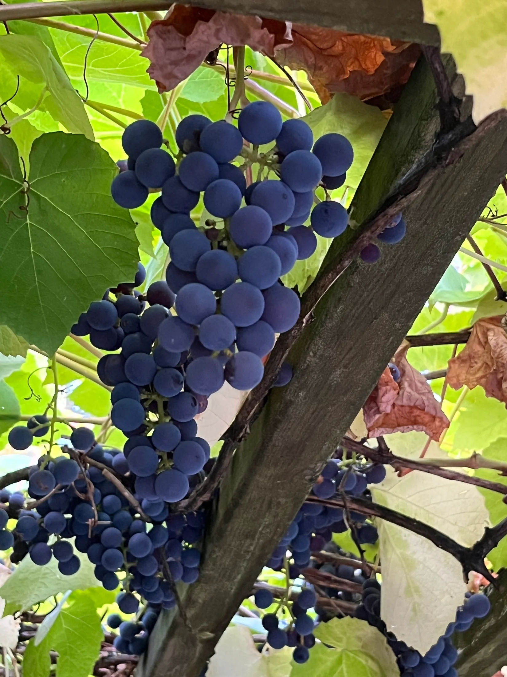 Villa, Bakfickan 4, Finsta, Norrtälje