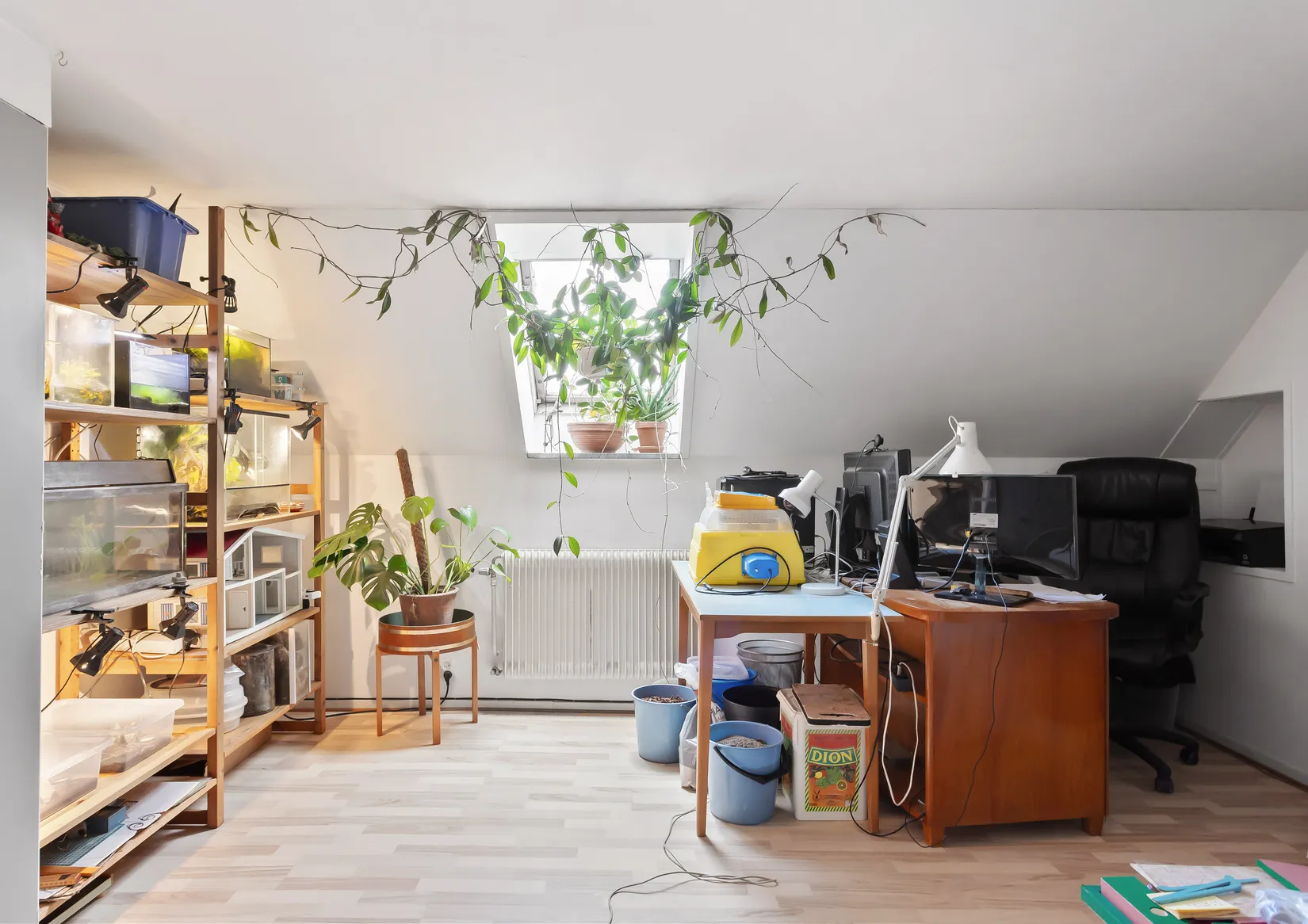 Gård/Skog, Alestadsvägen 166, Alestad, Sjöbo