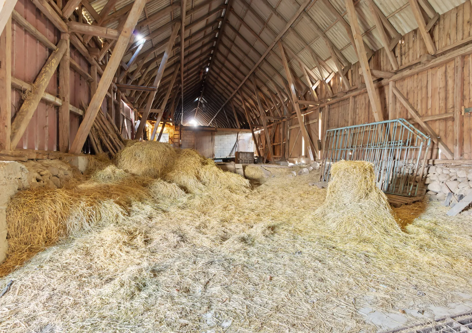 Gård/Skog, Alestadsvägen 166, Alestad, Sjöbo