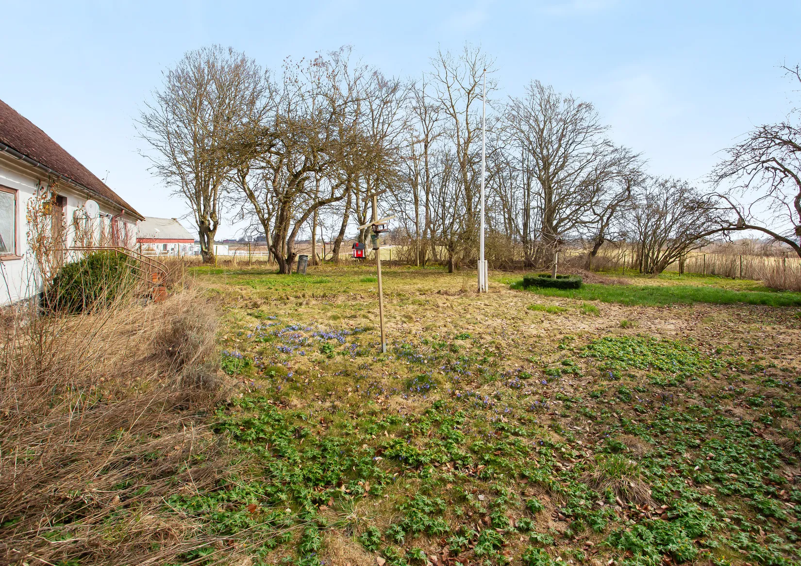 Gård/Skog, Alestadsvägen 166, Alestad, Sjöbo