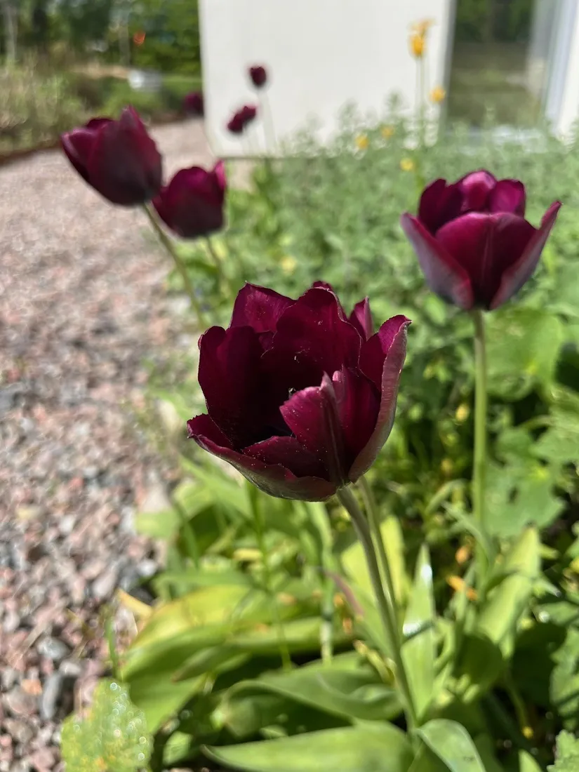 Villa, Hasselbacksvägen 11, Örstigsnäs, Nyköping