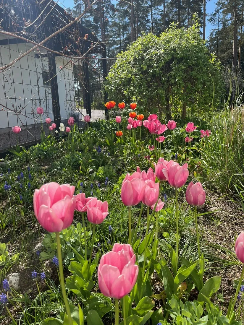 Villa, Hasselbacksvägen 11, Örstigsnäs, Nyköping