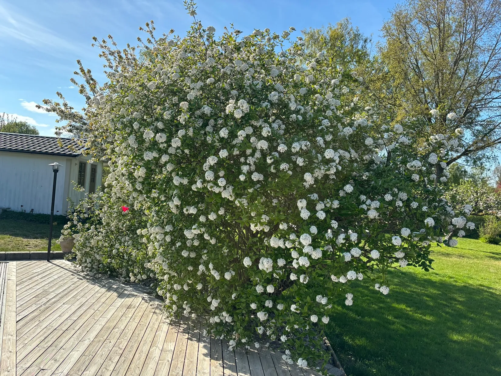 Villa, Vildgåsvägen 12, Nybrostrand, Ystad