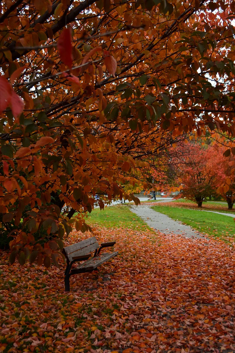 Bostadsrätt, Sikrenovägen 8, Danderyd