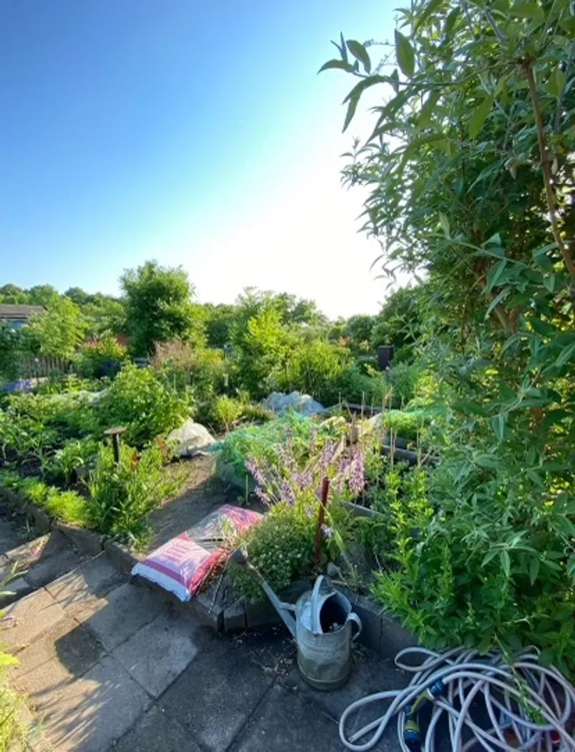 Fritidshus, Vinbärsgången 14, Edvinshems södra koloniområde, Ystad