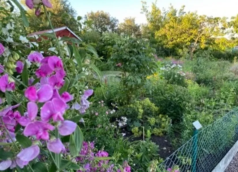 Fritidshus, Vinbärsgången 14, Edvinshems södra koloniområde, Ystad