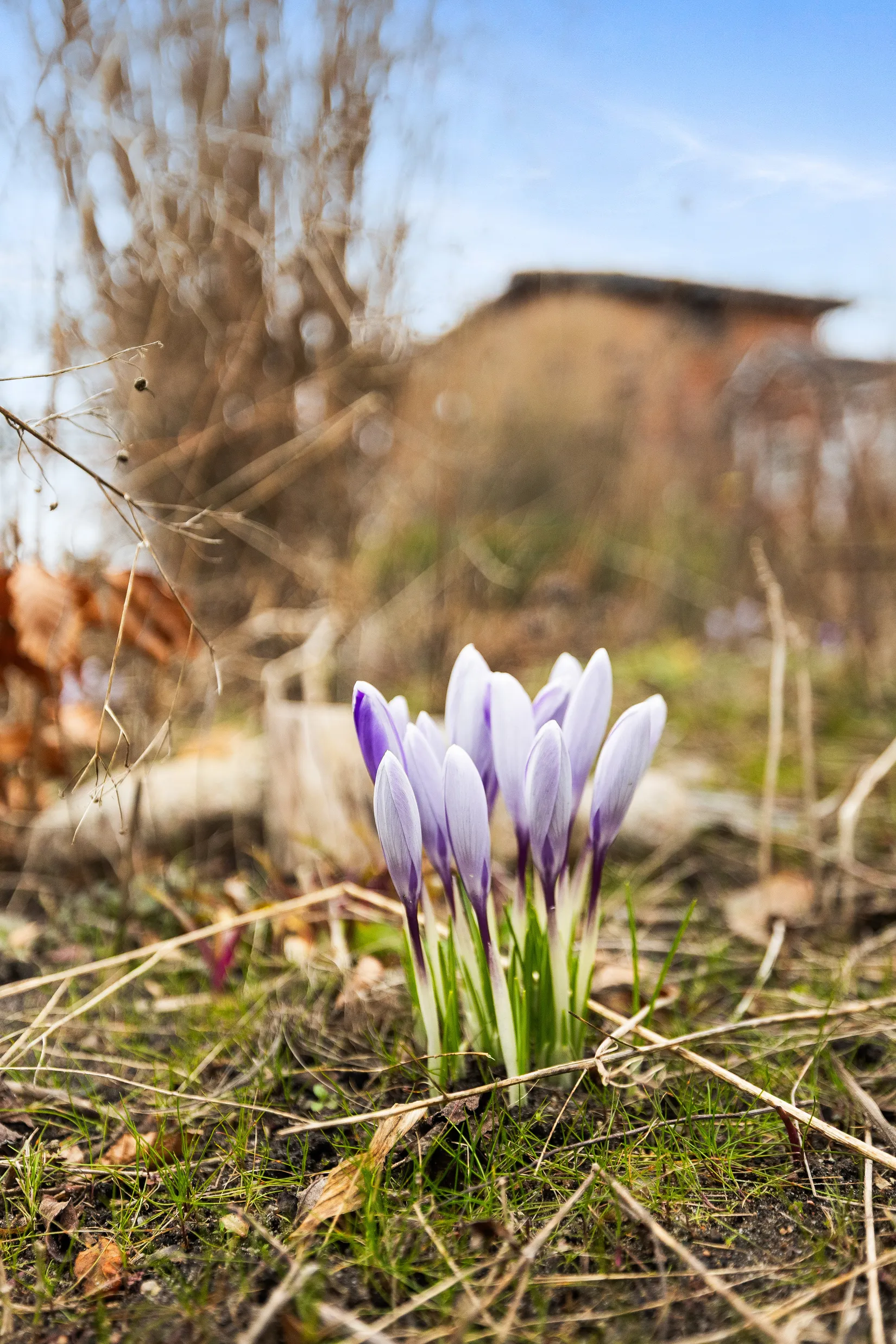 Fritidshus, Vinbärsgången 14, Edvinshems södra koloniområde, Ystad