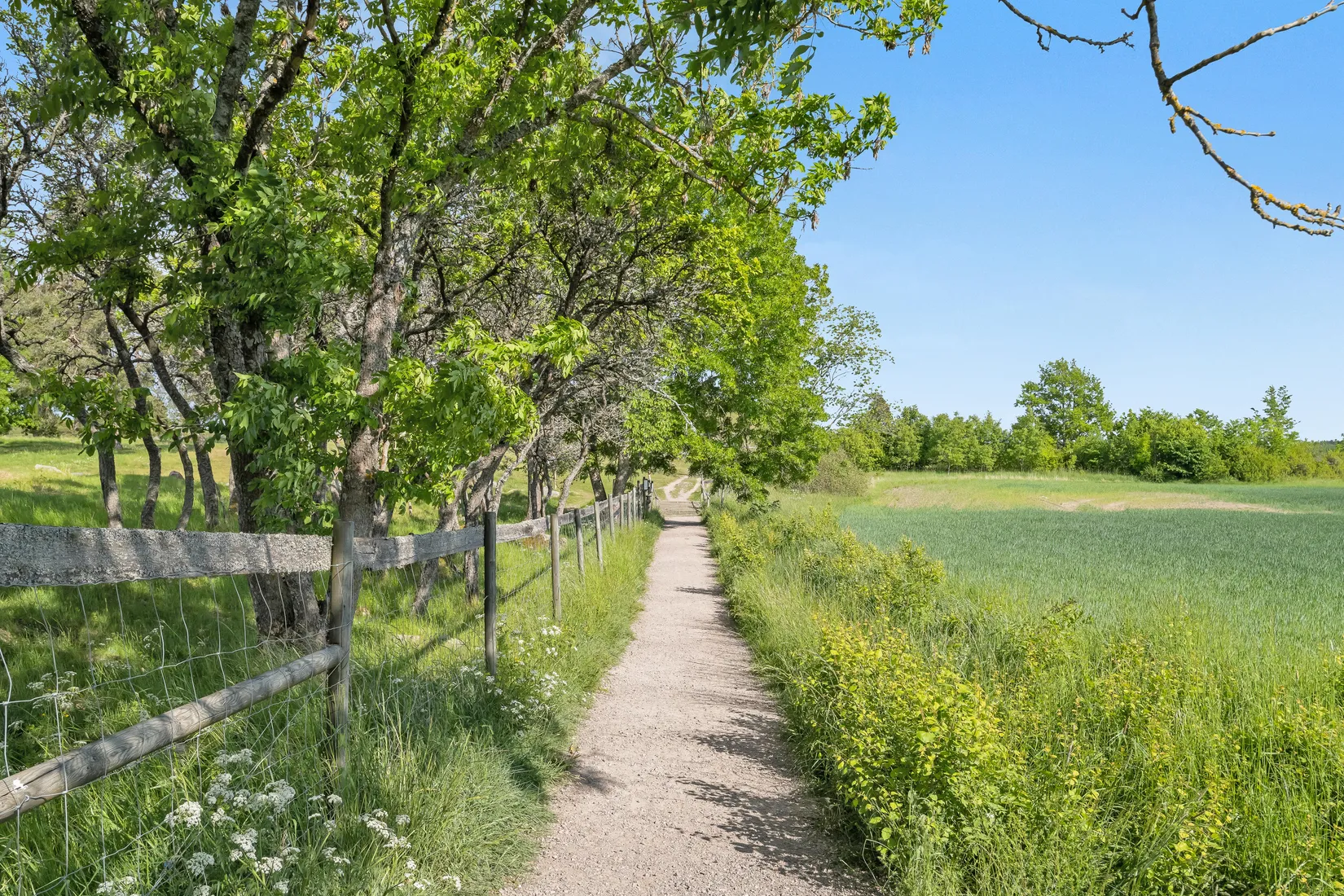 Bostadsrätt, Gösta Wahlströms väg 2E, Rickomberga, Uppsala
