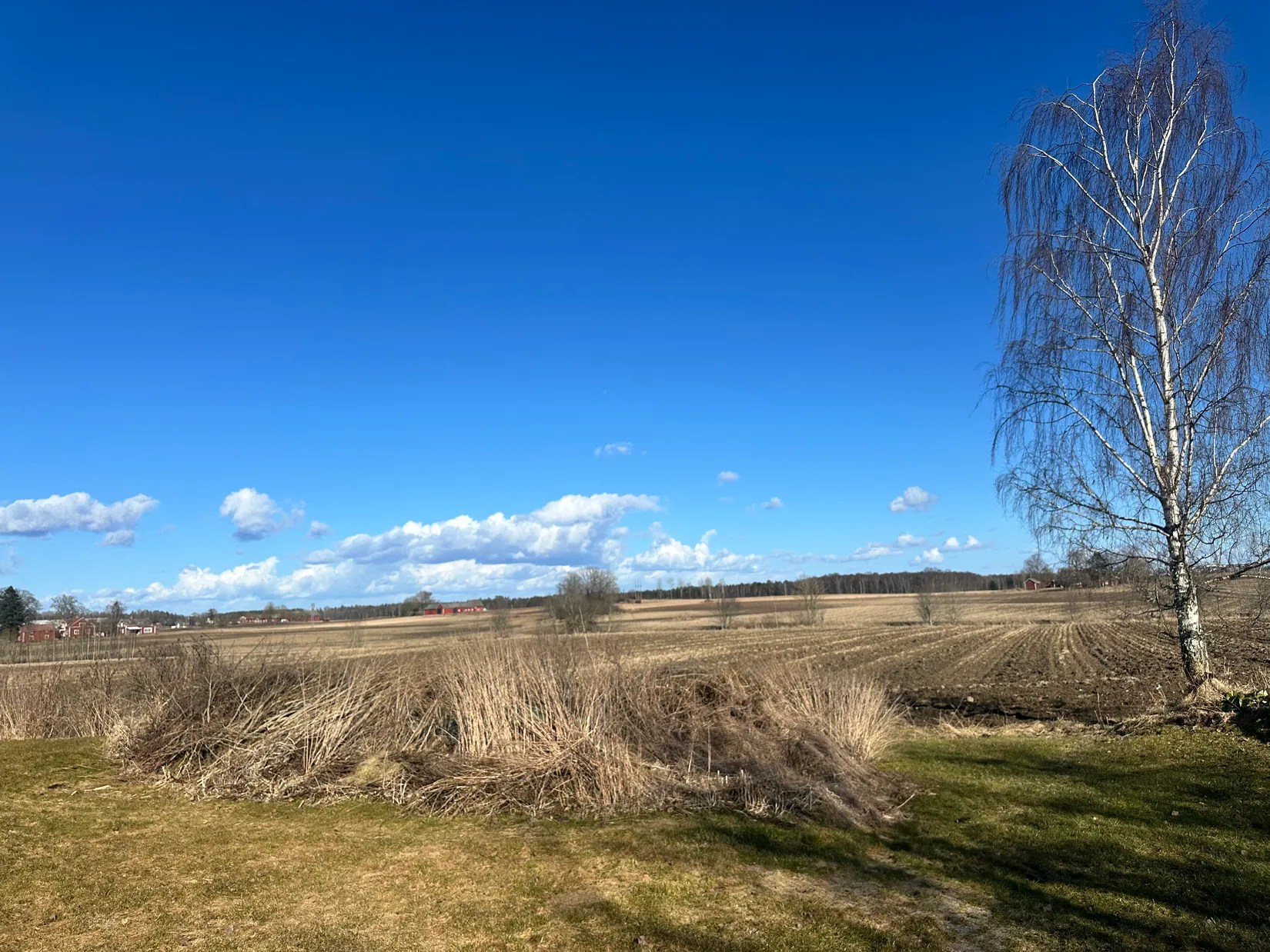 Gård/Skog, Edsbergs-Sörby 5, Fjugesta, Lekeberg