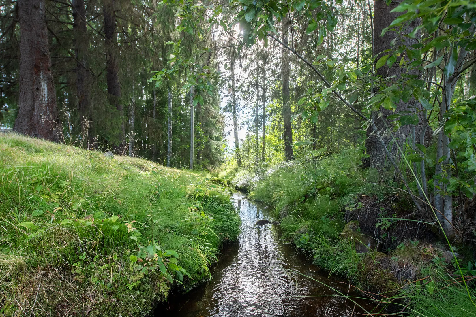 Villa, Gruvvägen 1, Malå