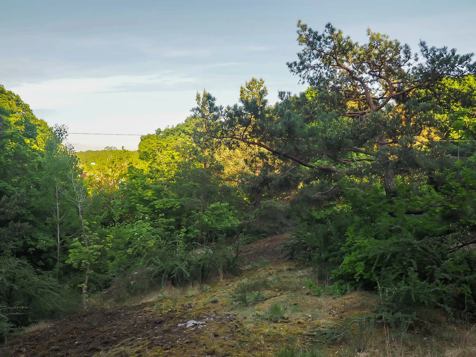 Bostadsrätt, Drachmannsgatan 14, Bromma - Blackeberg, Stockholm