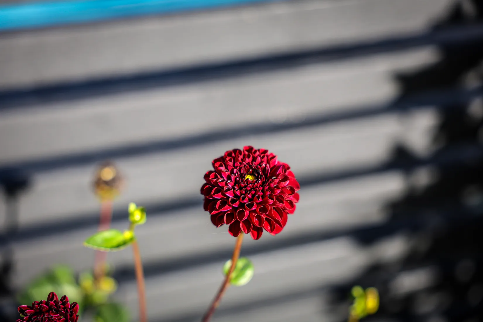 Villa, Mjölkörtsvägen 12, Tosterön, Strängnäs