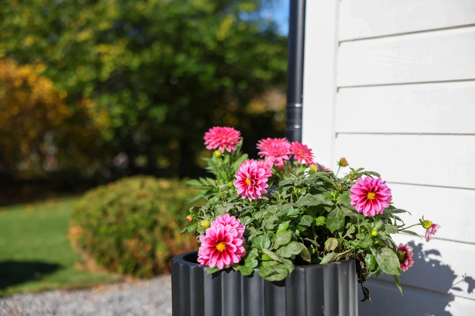 Villa, Mjölkörtsvägen 12, Tosterön, Strängnäs